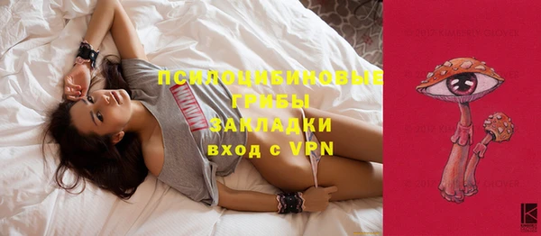 первитин Алексин